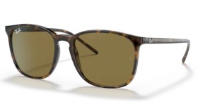 Ray-Ban RB4387 710/73 56
