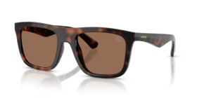 Burberry BE4458U 300273 55