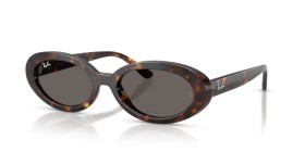 Ray-Ban RB2223 902/B1 54