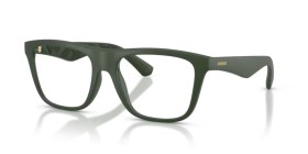 Burberry BE2432U 4170 55