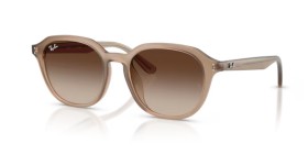 Ray-Ban RB4459D 616613 54