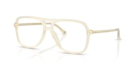 Jimmy Choo JC3052U 5089 53
