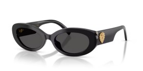 Dolce & Gabbana DG4537 501/87 53