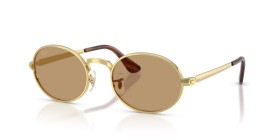 Ray-Ban RB3931 001/53 54