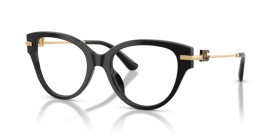 Dolce & Gabbana DG3438 501 53