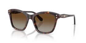 Swarovski SK6063 1002T5 54