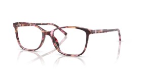 Dolce & Gabbana DG3424 3440 54