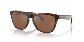 Oakley Frogskins OO9013 9013C5 55