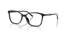 Dolce & Gabbana DG3424 501 54