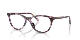 Dolce & Gabbana DG3443 3477 55