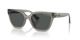 Armani Exchange AX4164SU 839487 53