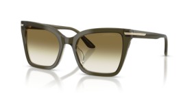 Emporio Armani EA4273BU 63788E 53