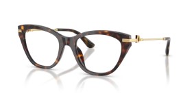 Dolce & Gabbana DG3428 502 51