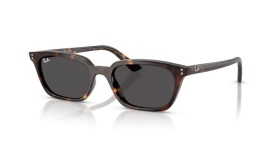 Ray-Ban Zaya RB4456 135987 53