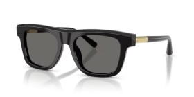 Dolce & Gabbana DG4521 501/1 52