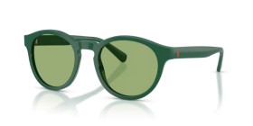 Polo PH4192 6141/2 51
