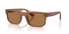 Armani Exchange AX4165S 835873 56