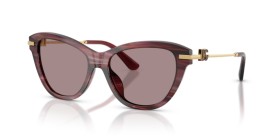 Dolce & Gabbana DG4534 3474LA 53
