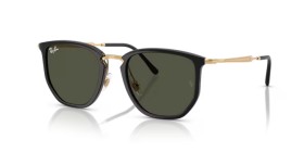 Ray-Ban RB4451 630631 53