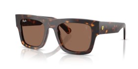 Ray-Ban RB2217M F61373 53