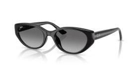 Ray-Ban RB4457D 667711 55
