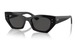 Ray-Ban Zena RB4430 667787 49