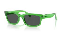 Arnette Defyer AN4363 301487 55