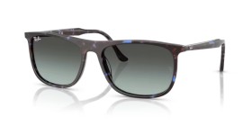 Ray-Ban RB2216 1430GK 58