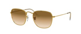 Ray-Ban Frank RB3857 919651 51