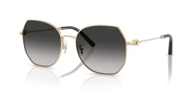Coach HC7175 90053C 56