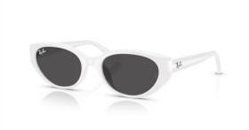 Ray-Ban RB4457D 677287 55