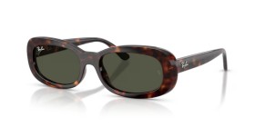 Ray-Ban RB2221 902/31 53
