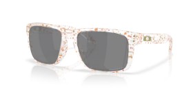 Oakley Holbrook OO9102 9102AG 55
