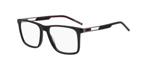 Hugo Boss HG 1386 807 55