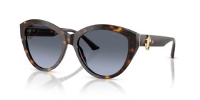 Jimmy Choo JC5007 50028F 55