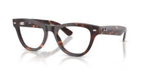 Ray-Ban RX5510 2012 50