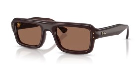 Ray-Ban RB4954 689673 52