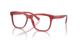 Dolce & Gabbana Kids DX3356 3409 49