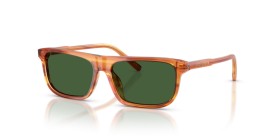 Dolce & Gabbana Kids DX4009 348371 51