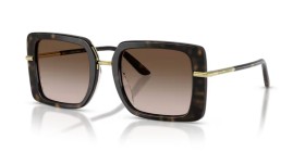 Dolce & Gabbana DG4491 321713 52