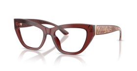 Dolce & Gabbana DG3412 3045 51