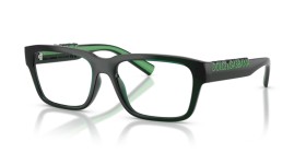 Dolce & Gabbana DG5112 3008 55