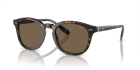 Polo Ralph Lauren PH4206 500373 52
