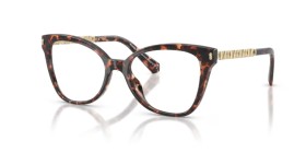 Michael Kors Beaune MK4170U 3006 52