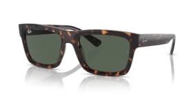 Ray-Ban Warren RB4396 135971 57