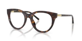 Dolce & Gabbana DG3433 502 53