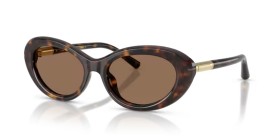 Dolce & Gabbana DG4519 502/73 54