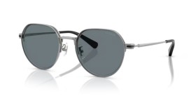 Coach HC7179 900455 52
