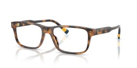 Polo Ralph Lauren PH2302U 5003 55