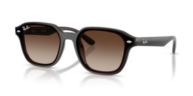 Ray-Ban RB4458D 714/13 65